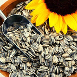 Sunflower Seed Oil