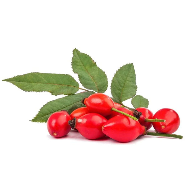 Rosehip Seed Oil, Turkey