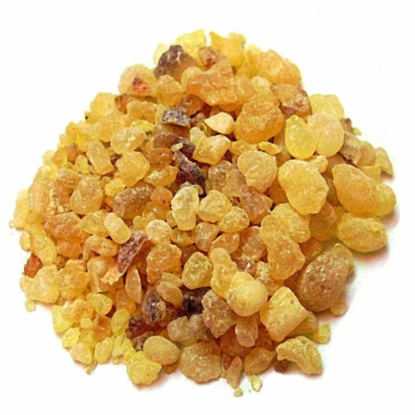 Frankincense Serrata Essential Oil