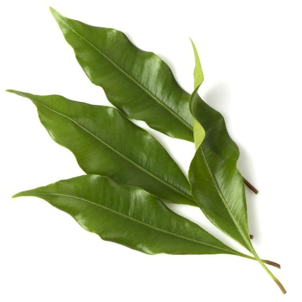 Clove Leaf Essential Oil