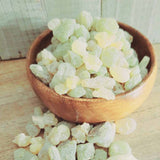 Frankincense Sacra Essential Oil