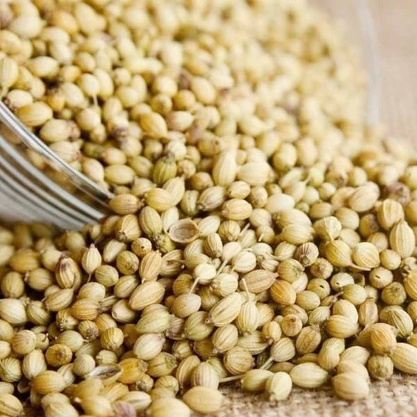 Coriander Seed Essential Oil