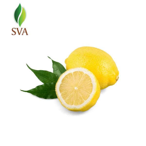SVA Naturals: Bulk Supplier of Lavender Essential Oil, Organic – Sva  Naturals