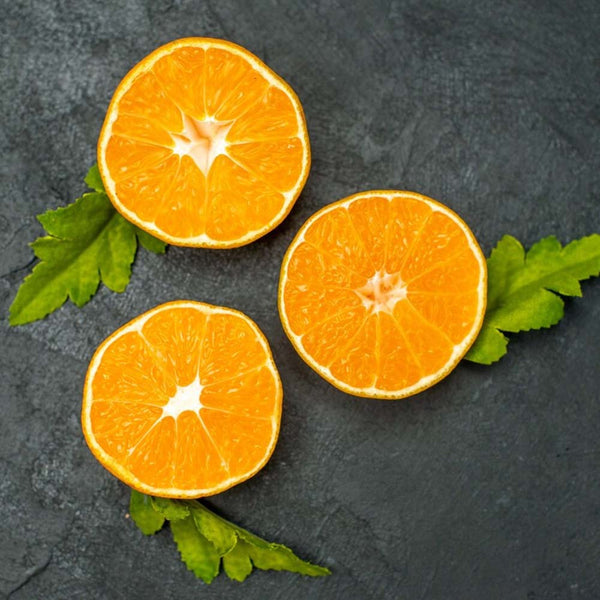 Bitter Orange Essential Oil